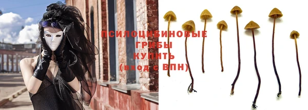 амф Дмитровск