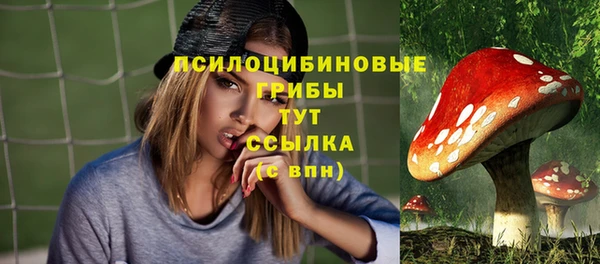ECSTASY Дмитров