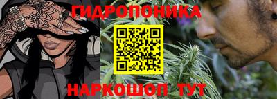 индика Шебекино