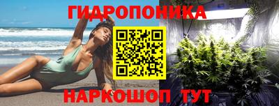 стаф Шахты