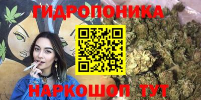индика Шебекино