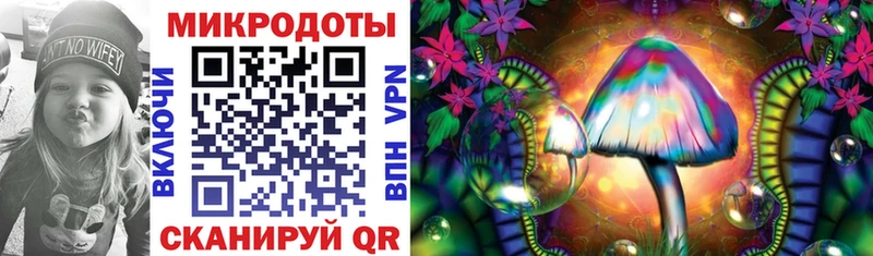 Псилоцибиновые грибы Cubensis  blacksprut как зайти  Заринск 