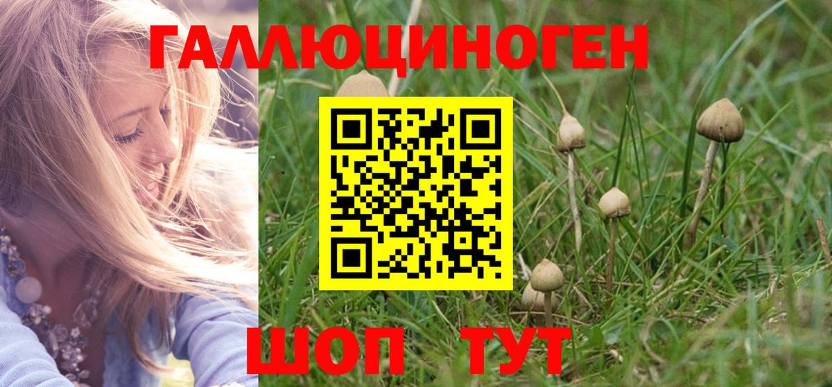 сколько стоит  Галлюциногенные грибы MAGIC MUSHROOMS  Вход с VPN  Заринск 